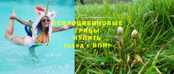 сатива Навашино