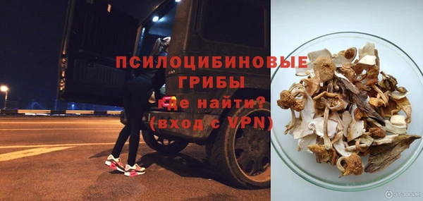 сатива Навашино