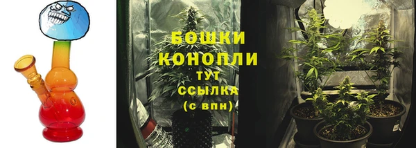2c-b Надым